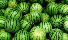 今日吃瓜每日必吃